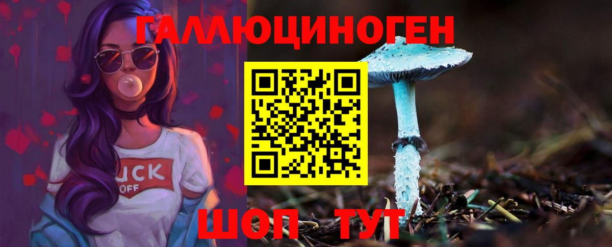 Псилоцибиновые грибы прущие грибы  Галлюциногенные грибы мицелий  Подольск  Вход с VPN 